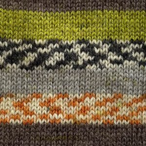 Crucci 4ply Sock Yarn Shade 16